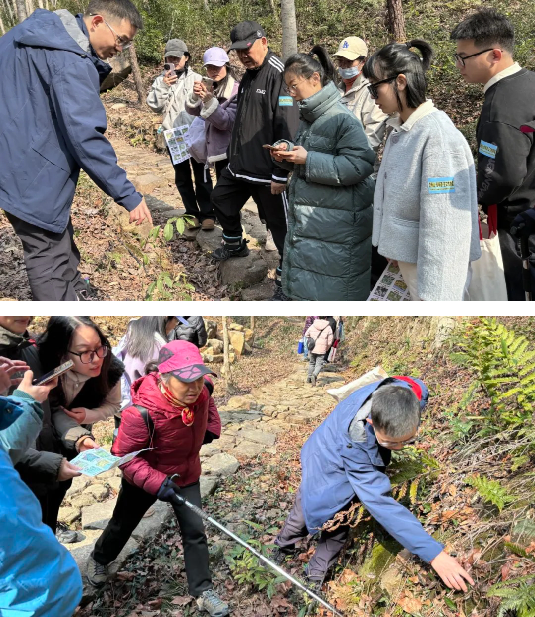 紹興城東醫院,張氏脊椎療法,婦女節